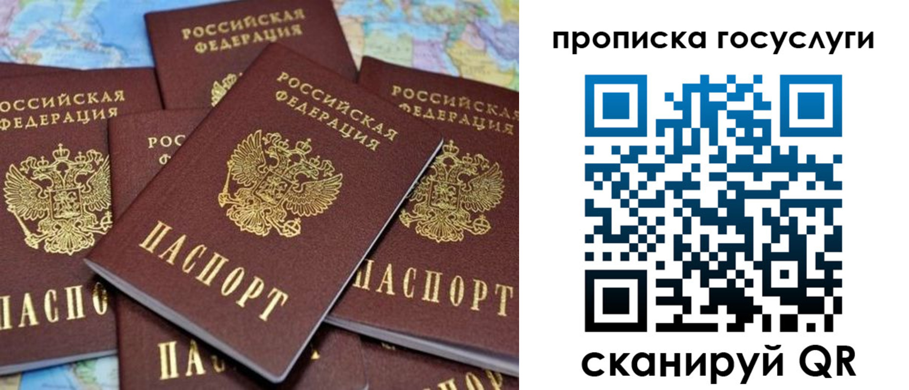 прописка для работы в Курске