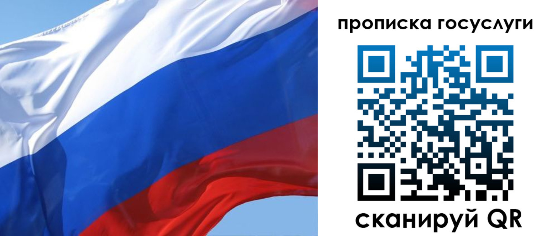 временная регистрация поиск в Курске